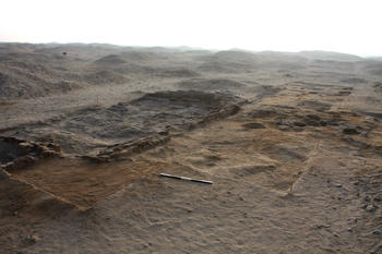 Blick (Richtung Nordost) über das 2014 ausgegrabene Areal: der südliche Teil des Hauses M50.16 liegt auf der linken Bildhälfte, während der Hof M50.14 rechts zu sehen ist