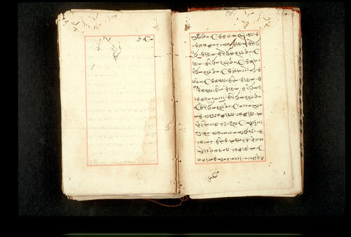 Folios 19v (right) and 20r (left)