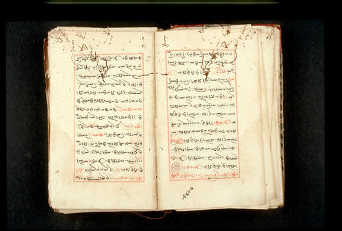 Folios 23v (right) and 24r (left)