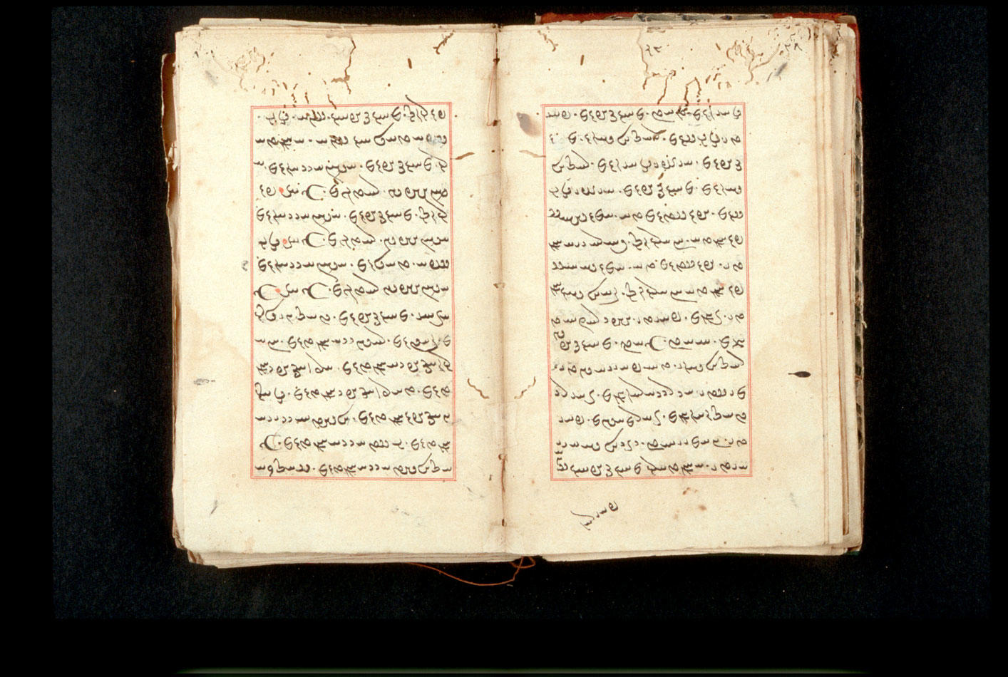 Folios 28v (right) and 29r (left)