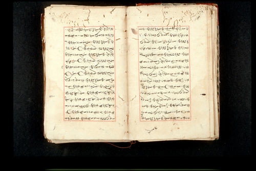 Folios 28v (right) and 29r (left)