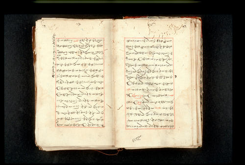 Folios 29v (right) and 30r (left)