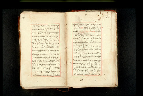 Folios 35v (right) and 36r (left)