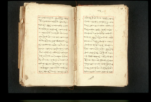 Folios 113v (right) and 114r (left)