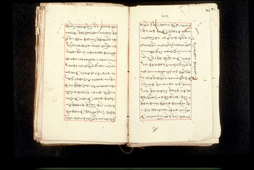 Folios 202v (right) and 203r (left)
