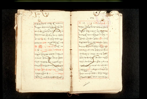 Folios 213v (right) and 214r (left)