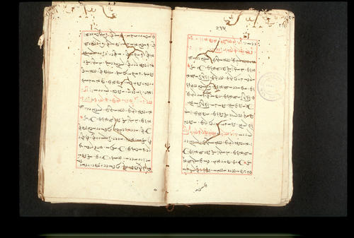 Folios 215v (right) and 216r (left)