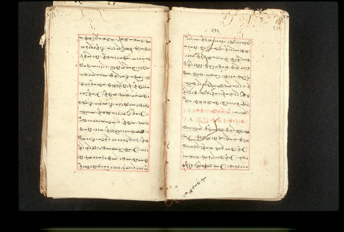 Folios 216v (right) and 217r (left)