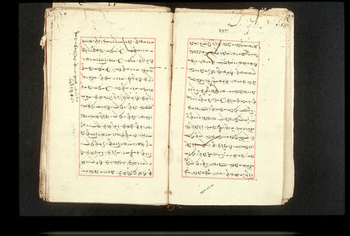 Folios 218v (right) and 219r (left)