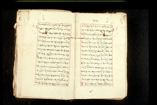 Folios 223v (right) and 224r (left)