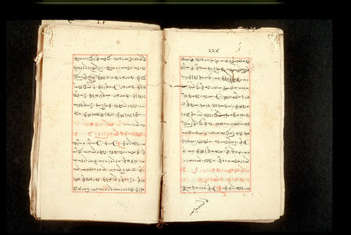 Folios 224v (right) and 225r (left)