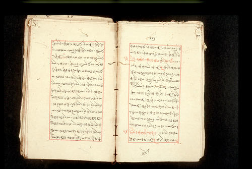 Folios 227v (right) and 228r (left)