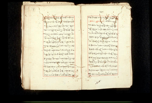 Folios 238v (right) and 239r (left)
