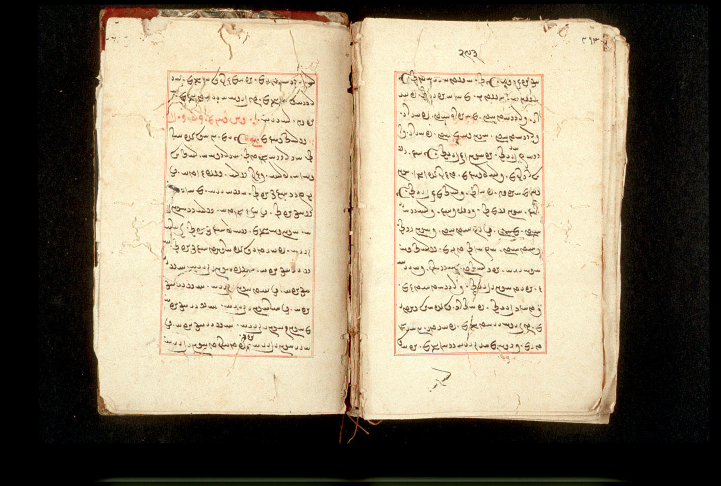 Folios 293v (right) and 294r (left)