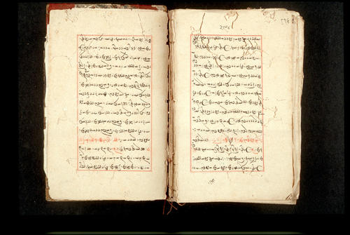 Folios 294v (right) and 295r (left)