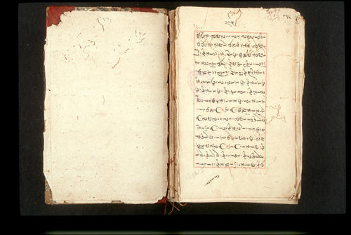 Folio 295v (right)