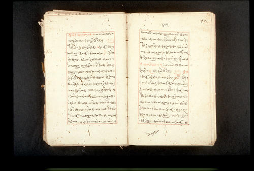Folios 355v (right) and 356r (left)