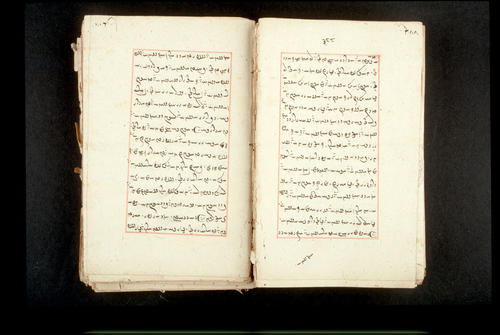 Folios 388v (right) and 389r (left)
