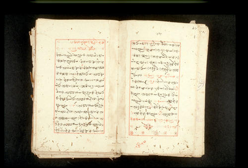 Folios 410v (right) and 411r (left)