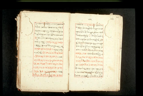 Folios 445v (right) and 446r (left)