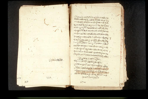 Folios 492v (right) and 493r (left)