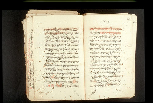 Folios 493v (right) and 494r (left)