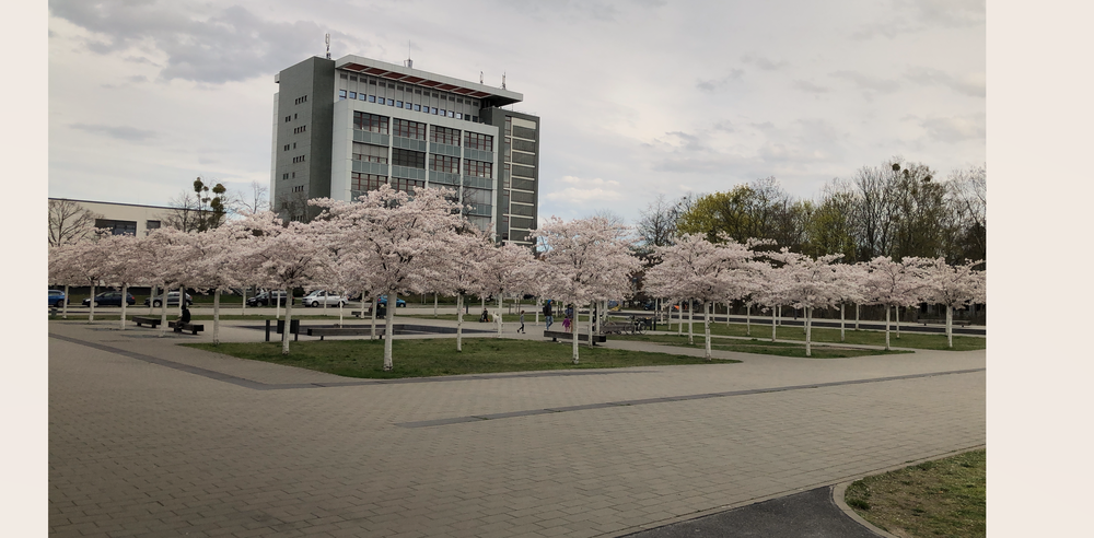 Urban Berlin Design, Narrow Depth Coverings, Canada