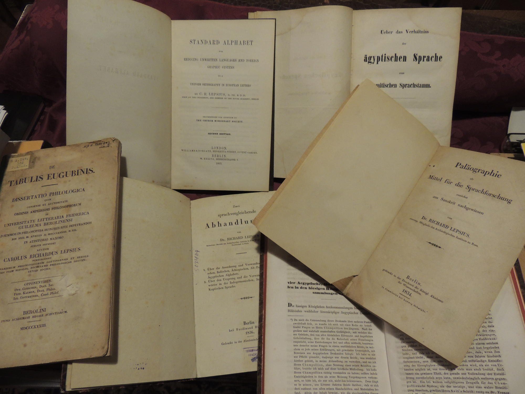 Frühe Publikationen Richard Lepsius', Wilhelm von Humboldt über "vier löwenköpfige Bildsäulen in den hiesigen klg. Sammlungen", Theodor Benfey zum ägyptisch-semitischen Sprachvergleich.