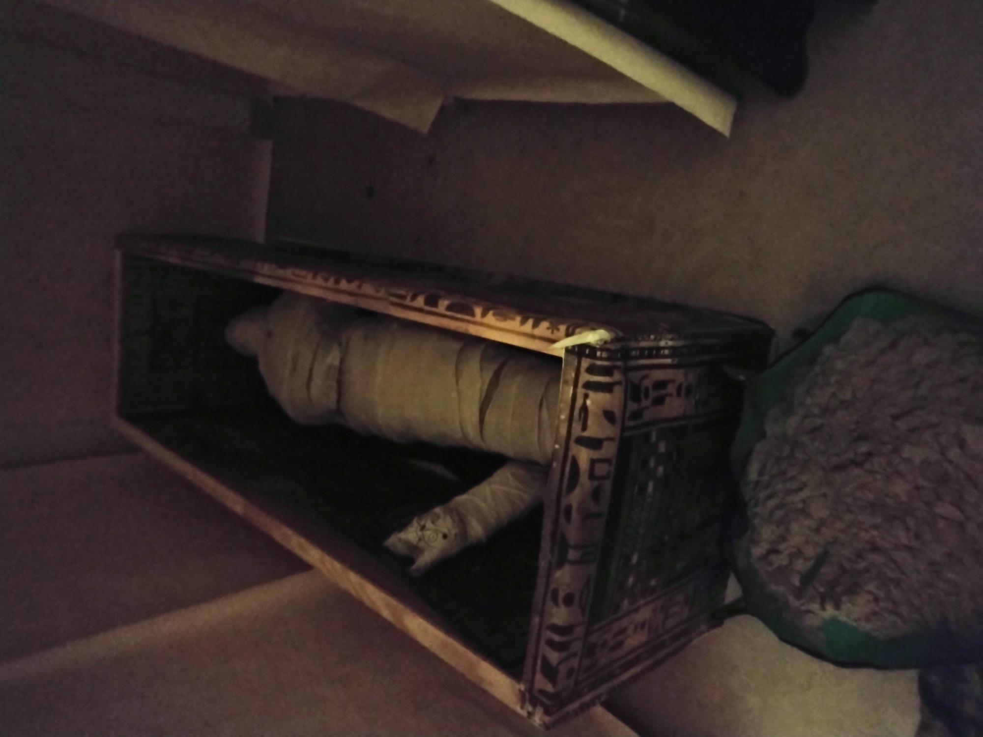 Nachgebauter Sarg der Idy mit Mumie und Katzenmumie. Davor ein Sandbehältnis, in dem Gäste auf die Suche nach Schätzen gehen konnten.