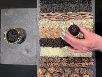 Kyphi_(c) D. Goldsmith