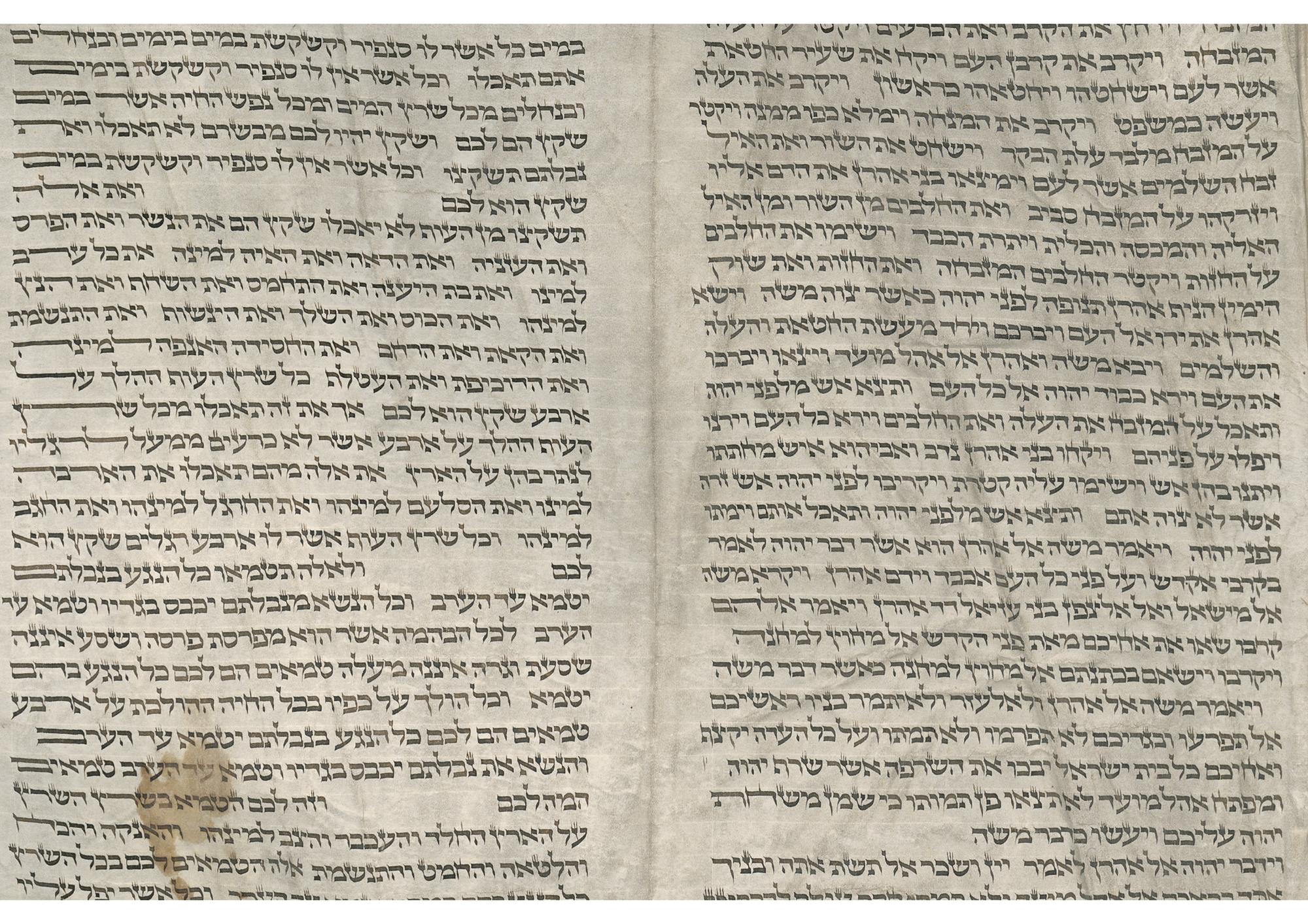 Ms. or. fol. 1216, Blatt 26