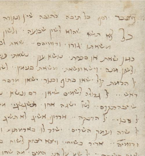 Ms. or. fol. 1219, fol. 110r