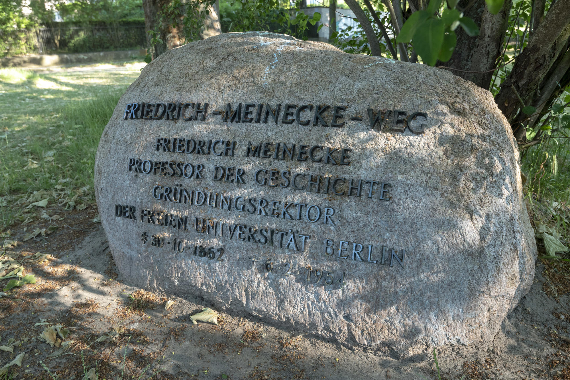 2021 06 18 Gedenkstein Friedrich Meinecke-2488