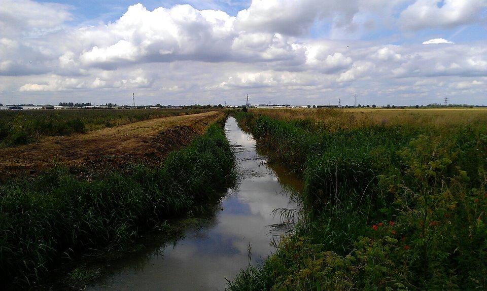 Umweltwahrnehmungen in England während des 14. Jahrhunderts (Habilitationsprojekt)