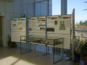 FMI Oktober November 2012