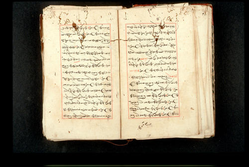 Folios 24v (right) and 25r (left)