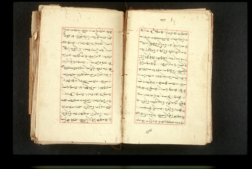 Folios 118v (right) and 119r (left)