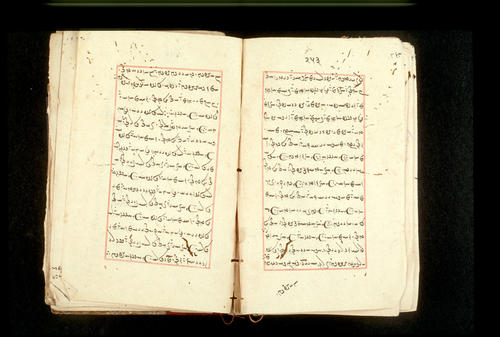 Folios 253v (right) and 254r (left)