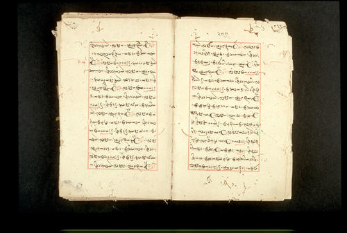 Folios 299v (right) and 300r (left)