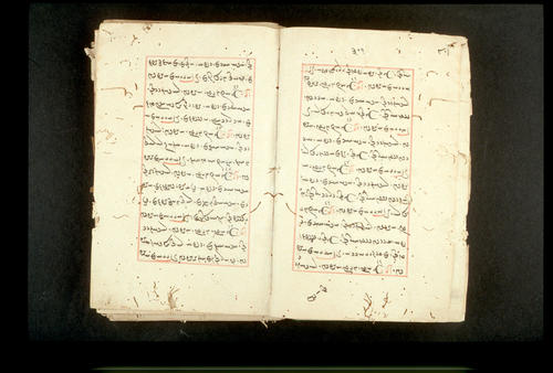Folios 301v (right) and 302r (left)