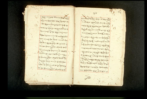 Folios 304v (right) and 305r (left)