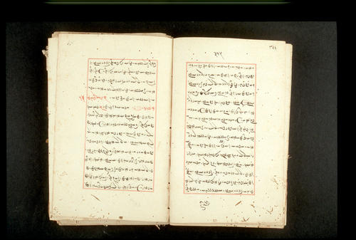 Folios 315v (right) and 316r (left)