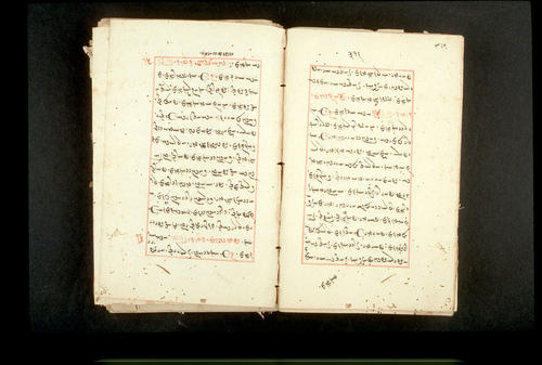 Folios 316v (right) and 317r (left)
