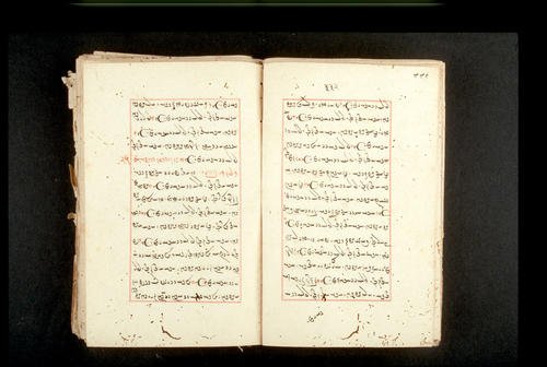 Folios 332v (right) and 333r (left)