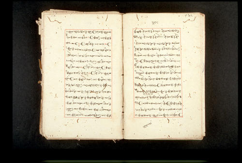 Folios 348v (right) and 349r (left)