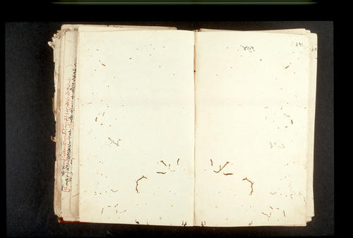 Folios 491v (right) and 492r (left)