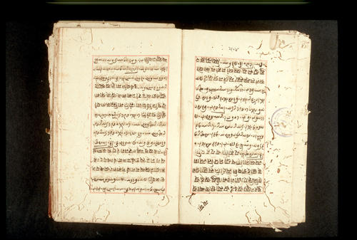 Folios 504v (right) and 505r (left)