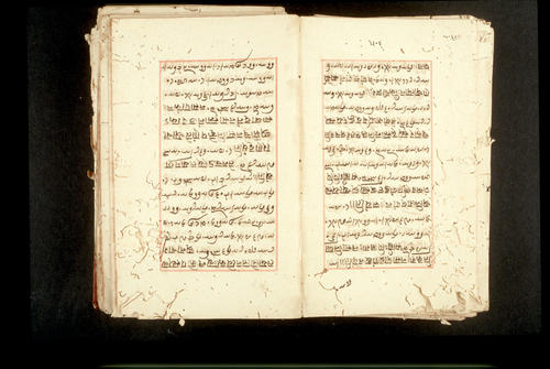 Folios 506v (right) and 507r (left)