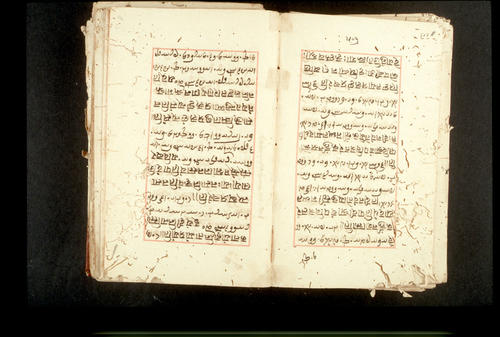 Folios 507v (right) and 508r (left)