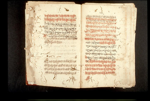 Folios 536v (right) and 537r (left)